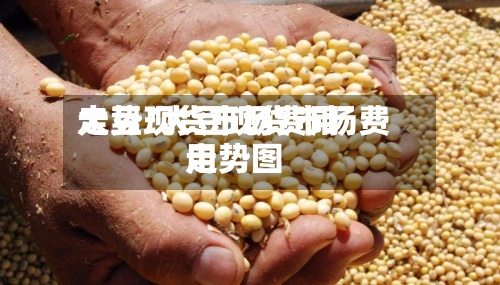 大豆现货市场费用走势/大豆现货市场费用走势图