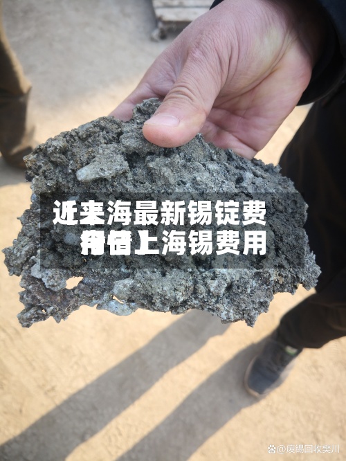 近来
【上海最新锡锭费用
今日上海锡费用
行情】-第3张图片