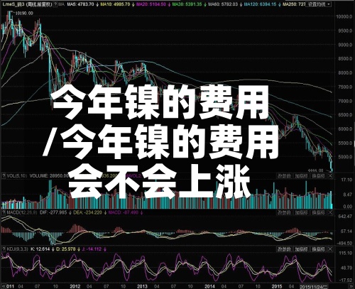 今年镍的费用/今年镍的费用会不会上涨