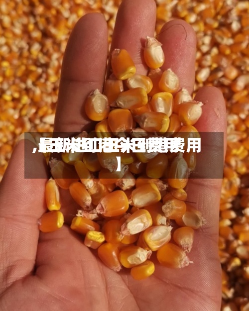 【玉米到港今日费用,最新进口玉米到港费用】