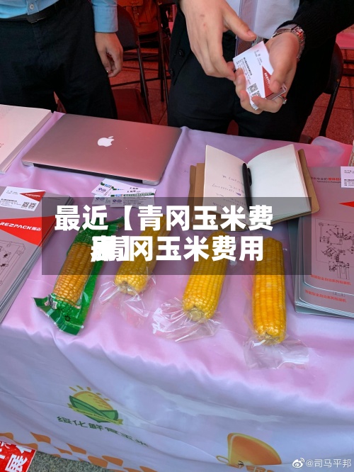 最近【青冈玉米费用,青冈玉米费用表】