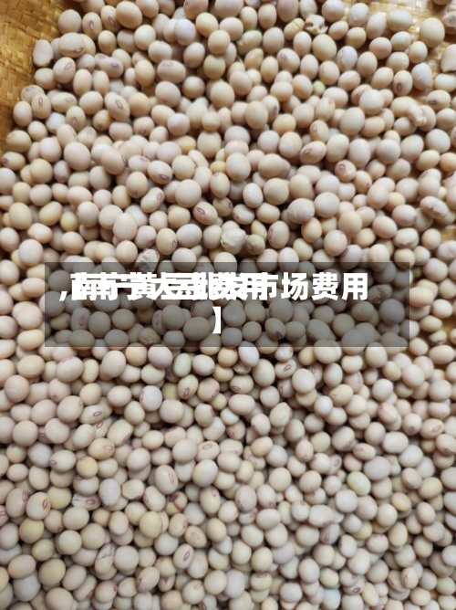 【南宁大豆费用,南宁黄豆批发市场费用】