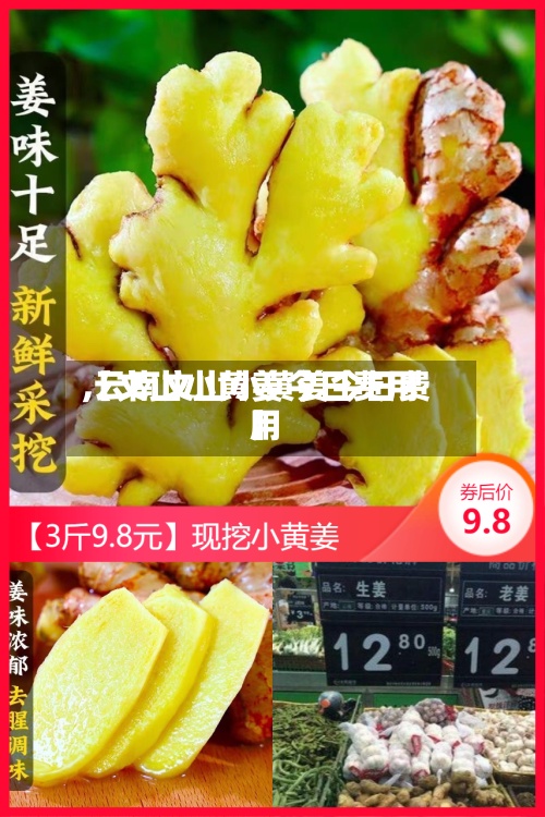 【文山小黄姜今日费用,云南文山小黄姜今日费用】