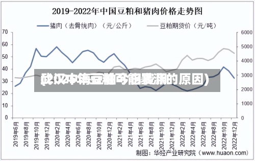 武汉中海豆粕今日费用(2025年豆粕可能暴涨的原因)