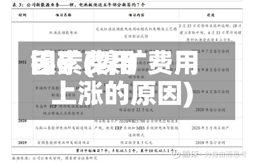 镍矿费用因素(镍矿费用上涨的原因)