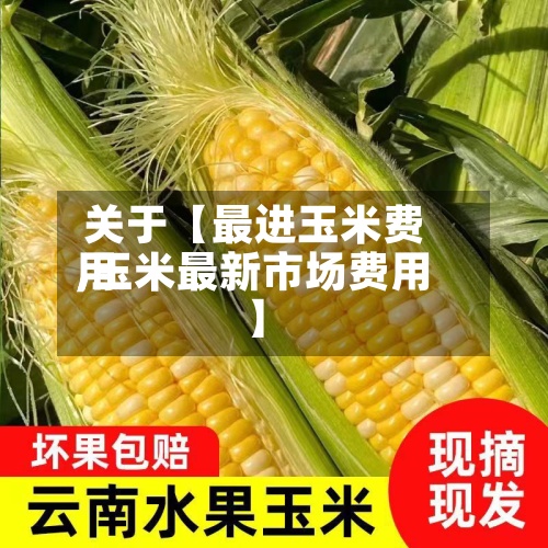 关于【最进玉米费用,玉米最新市场费用】