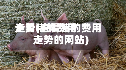 查看猪的费用
走势(查看猪的费用
走势的网站)-第2张图片