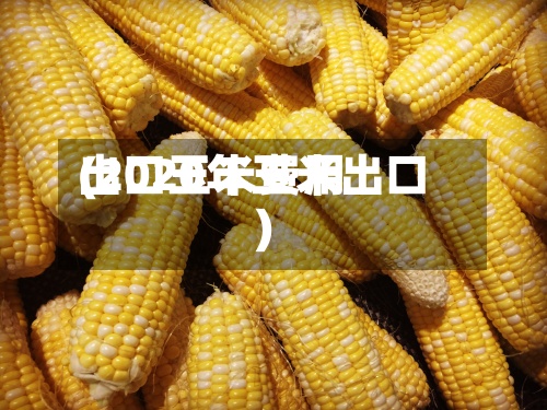 出口玉米费用(2020年玉米出口)