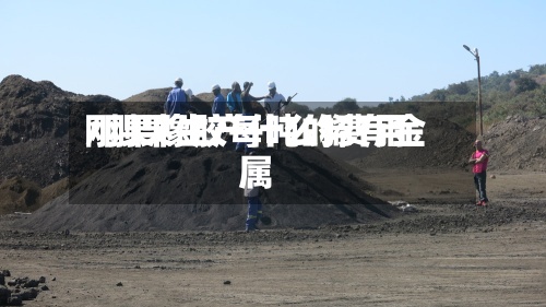 刚果橡胶每吨的费用/刚果生产什么稀有金属