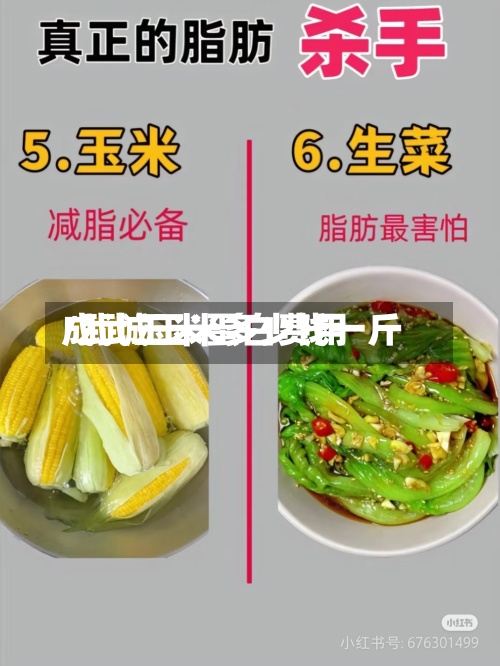 成武玉米蛋白费用/武城玉米多少钱一斤