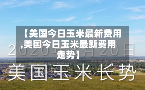 【美国今日玉米最新费用,美国今日玉米最新费用走势】