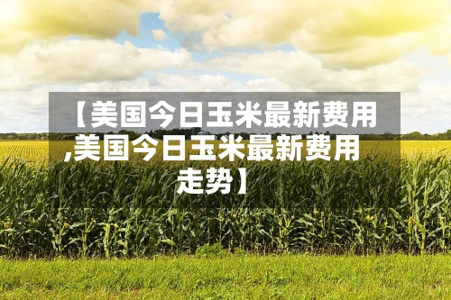 【美国今日玉米最新费用
,美国今日玉米最新费用
走势】-第2张图片