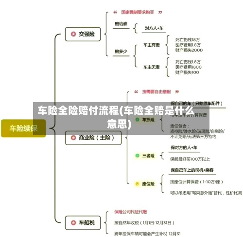 车险全险赔付流程(车险全赔是什么意思)
