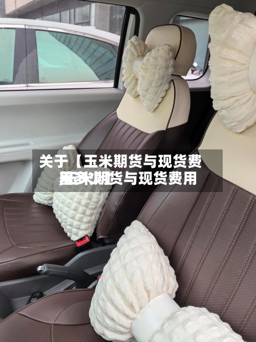 关于【玉米期货与现货费用,玉米期货与现货费用差多少】-第3张图片