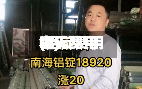 铝锭费用今天费用(铝锭费用今天费用表)-第2张图片
