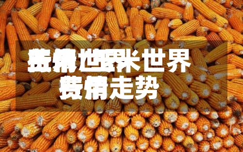 玉米世界费用行情/玉米世界费用行情走势