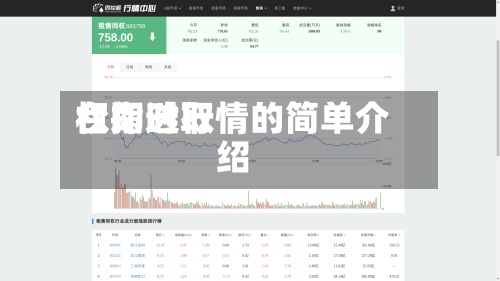 台指选取权即时行情的简单介绍-第2张图片