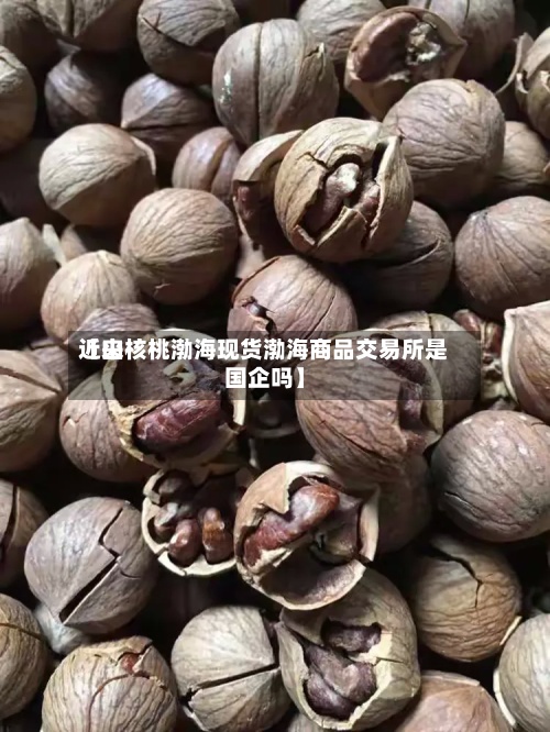 近来【山核桃渤海现货渤海商品交易所是国企吗】-第2张图片