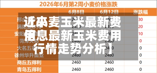 近来【小麦玉米最新费用信息最新玉米费用行情走势分析】