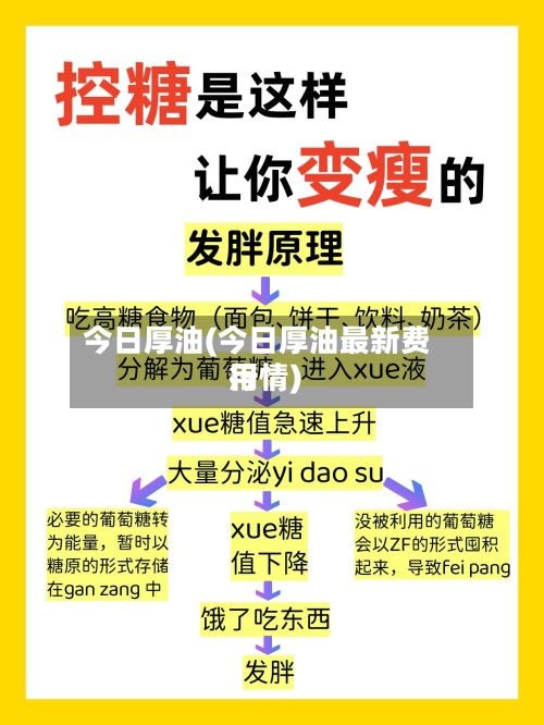 今日厚油(今日厚油最新费用行情)-第3张图片