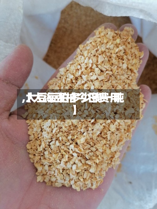 【大海豆柏今日费用,大豆豆柏多少钱一吨】