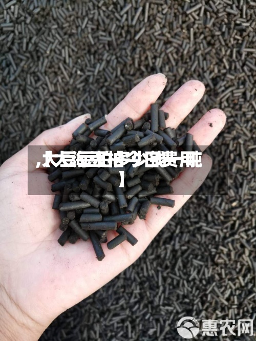 【大海豆柏今日费用,大豆豆柏多少钱一吨】-第3张图片