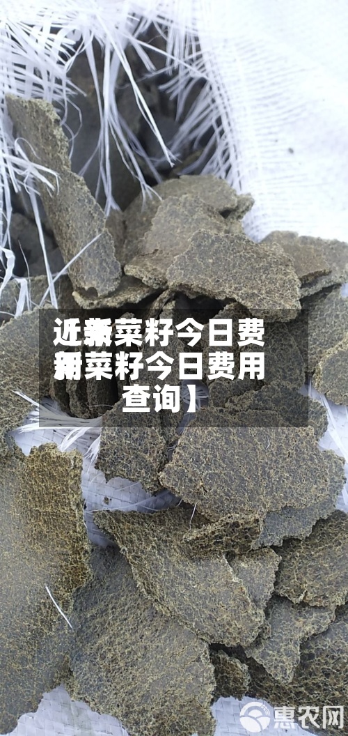 近来【新菜籽今日费用新菜籽今日费用查询】-第2张图片