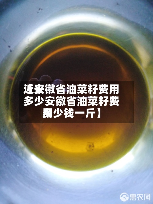 近来【安徽省油菜籽费用多少安徽省油菜籽费用多少钱一斤】-第2张图片