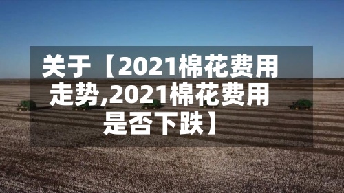 关于【2021棉花费用走势,2021棉花费用是否下跌】-第2张图片