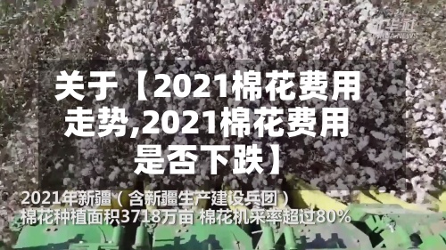 关于【2021棉花费用走势,2021棉花费用是否下跌】-第3张图片