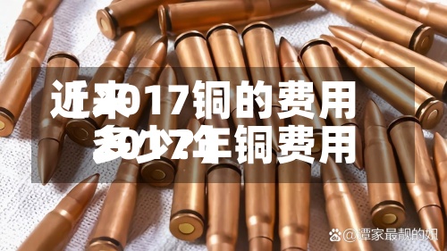 近来【2017铜的费用2017年铜费用多少?】