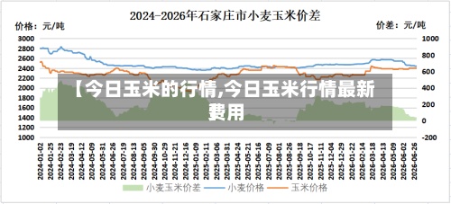 【今日玉米的行情,今日玉米行情最新费用】-第3张图片