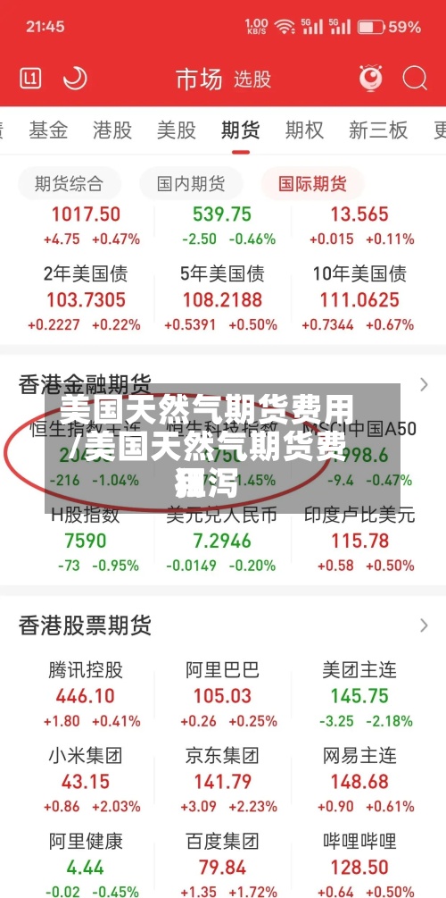 美国天然气期货费用/美国天然气期货费用狂泻