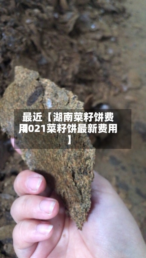 最近【湖南菜籽饼费用
,2021菜籽饼最新费用
】-第2张图片