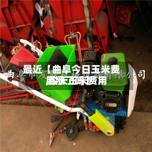 最近【曲阜今日玉米费用,今天玉米费用上涨了吗】