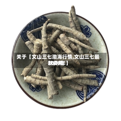 关于【文山三七渤海行情,文山三七最新费用2020年】-第2张图片