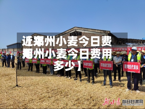 近来【郑州小麦今日费用郑州小麦今日费用多少】-第3张图片