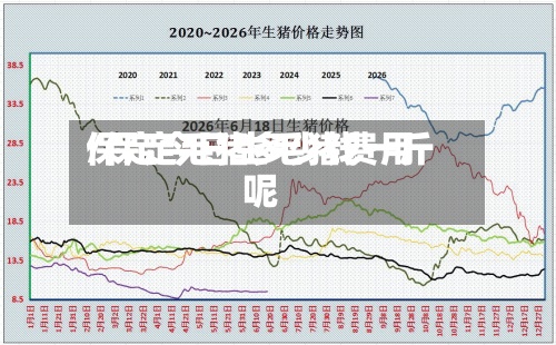 保定今日生毛猪费用/保定毛猪多少钱一斤呢-第3张图片