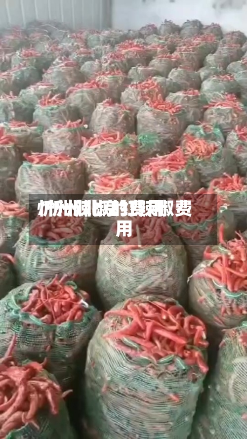 忻州辣椒的费用/忻州北京红辣椒费用