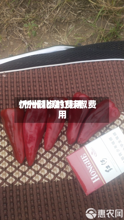 忻州辣椒的费用/忻州北京红辣椒费用-第2张图片