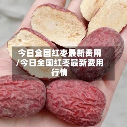 今日全国红枣最新费用/今日全国红枣最新费用行情