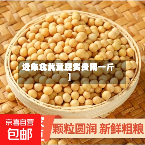 近来【东北黄豆现货费用今年东北黄豆多少钱一斤】