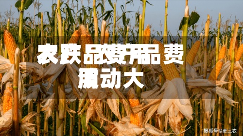 农产品费用大跌/农产品费用波动大-第3张图片