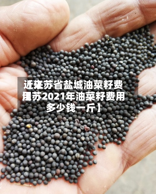 近来【江苏省盐城油菜籽费用江苏2021年油菜籽费用多少钱一斤】-第2张图片