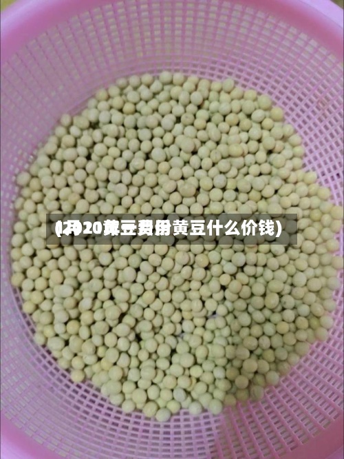 1月10黄豆费用(2021年一月份黄豆什么价钱)