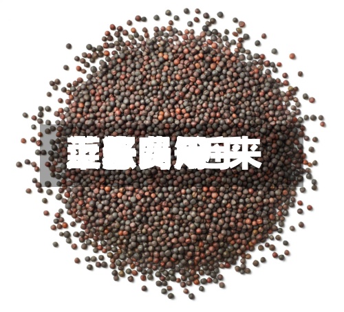 近来菜籽费用上涨吗/近来菜籽费用上涨吗知乎-第2张图片