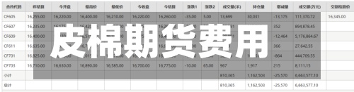 皮棉期货费用(皮棉期货费用行情查询软件)