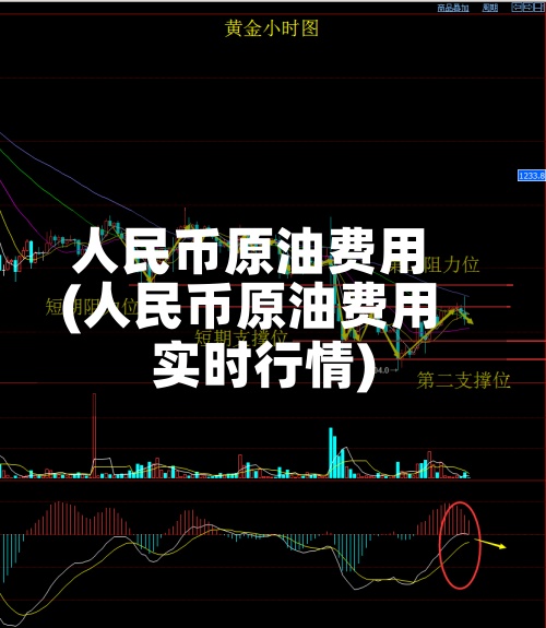 人民币原油费用(人民币原油费用实时行情)