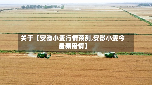 关于【安徽小麦行情预测,安徽小麦今日费用最新行情】-第2张图片