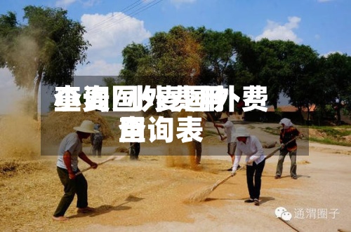 小麦国外费用查询/小麦国外费用查询表